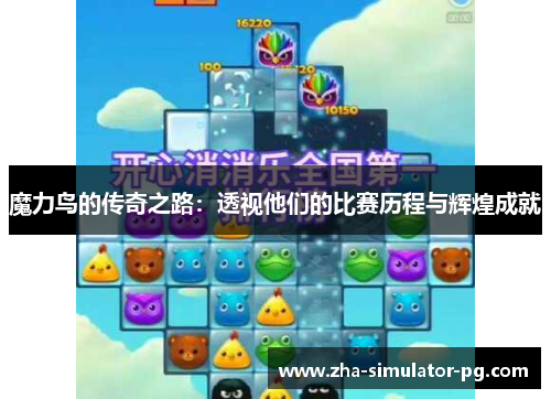 魔力鸟的传奇之路：透视他们的比赛历程与辉煌成就