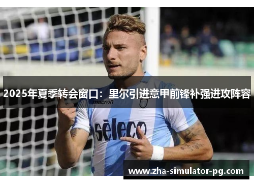 2025年夏季转会窗口:里尔引进意甲前锋补强进攻阵容 2025年夏季转会窗口:里尔引进意甲前锋补强进攻阵容